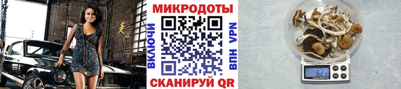 Псилоцибиновые грибы Psilocybine cubensis Белогорск